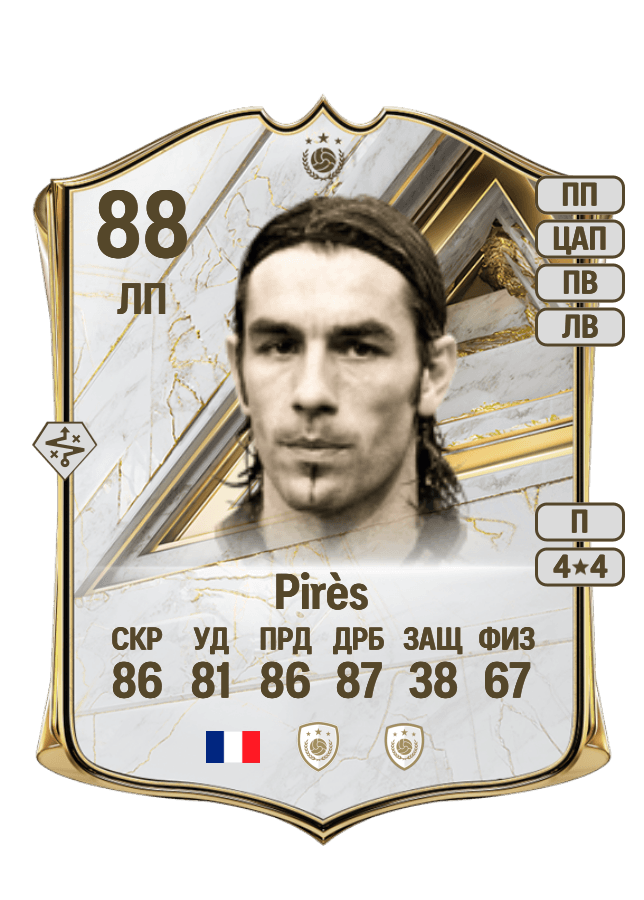 Robert Pirès card