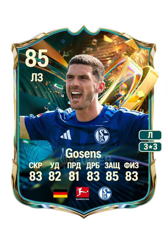 Robin Gosens card