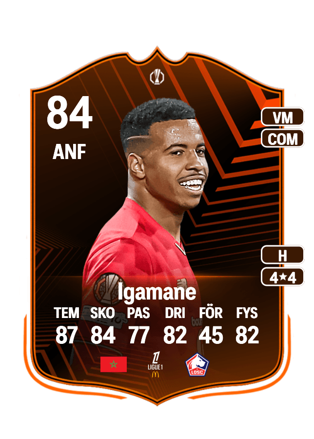 Hamza Igamane card