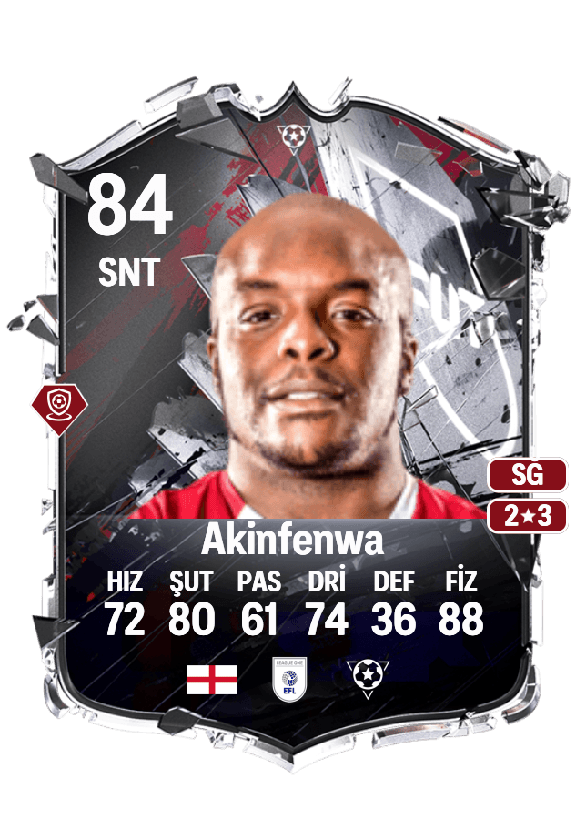 Adebayo Akinfenwa card