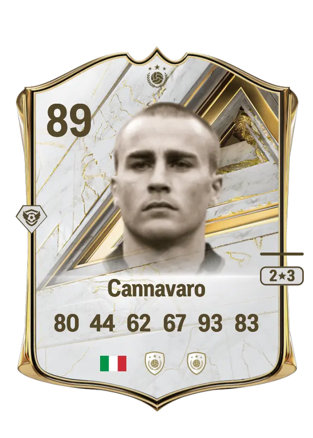 Fabio Cannavaro card