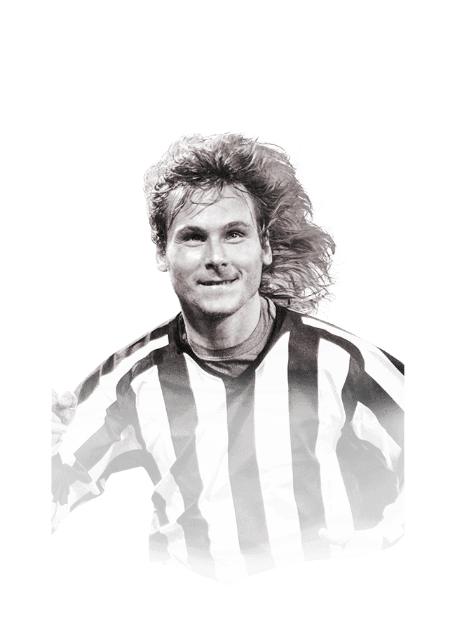 Nedvěd